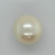 Pearl (Moti) 12.64 Ct Good Quality Pearl (Moti) 12.64 Ct Good Quality